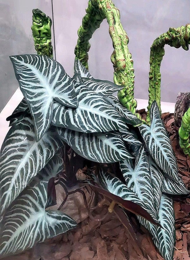 KERUIDENG Reptile Plants,Terrarium Decor,Amphibian Habitat Decor,Artificial Plants for Gecko Chameleon Snake Tortoise Tank Accessories with Base(Xanthosoma sagittifolium) - Image 4